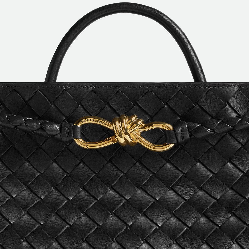 сумка Andiamo M Bottega Veneta — фото и цены