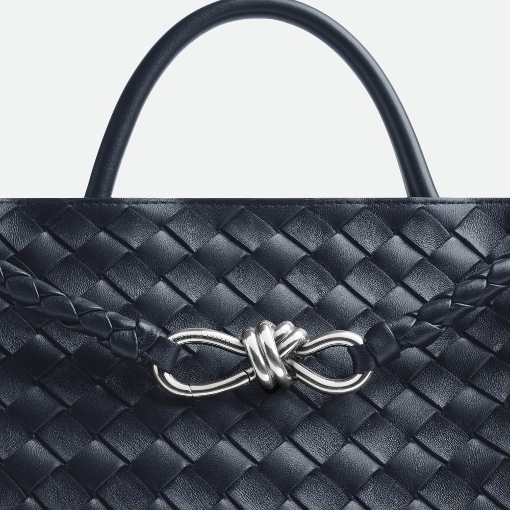 Medium Andiamo Bottega Veneta — фото и цены