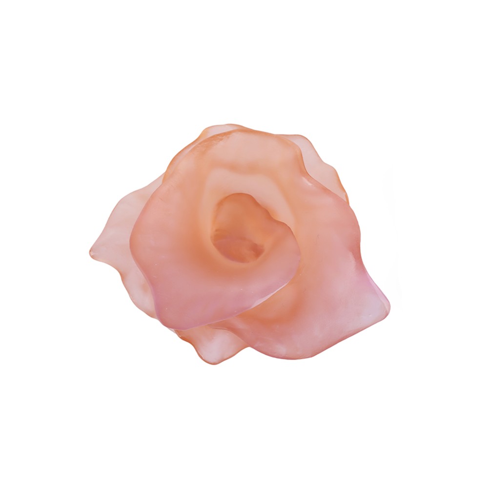 Цветок Arum Daum — фото и цены