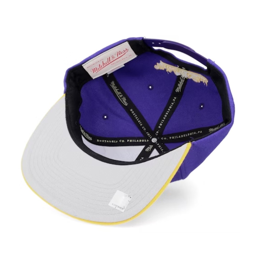 бейсболка Los Angeles Lakers Team 2 Tone 2.0 MITCHELL&NESS — фото и цены