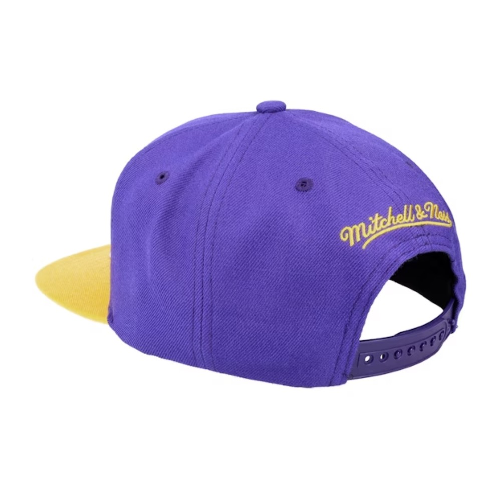 бейсболка Los Angeles Lakers Team 2 Tone 2.0 MITCHELL&NESS — фото и цены