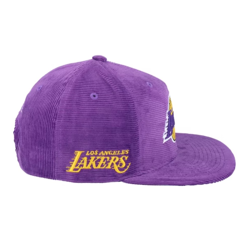 бейсболка Los Angeles Lakers All Directions Purple Snapback MITCHELL&NESS — фото и цены