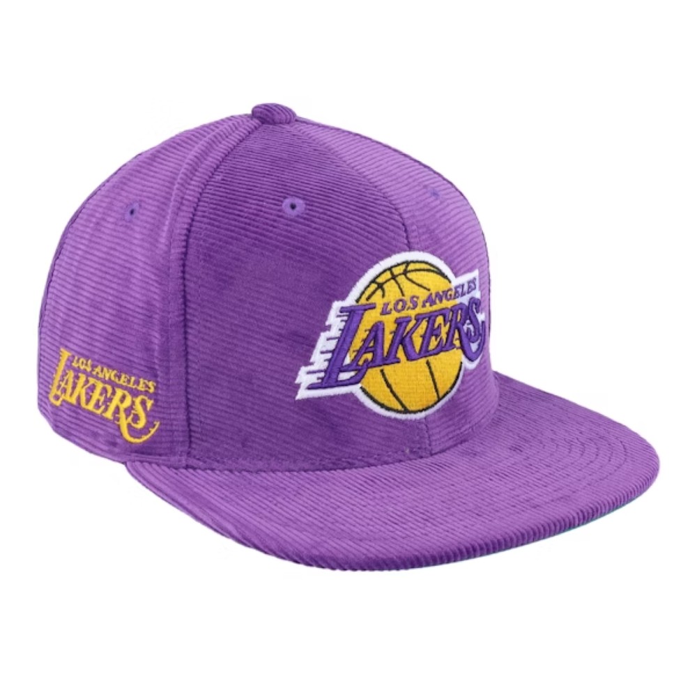 бейсболка Los Angeles Lakers All Directions Purple Snapback MITCHELL&NESS — фото и цены