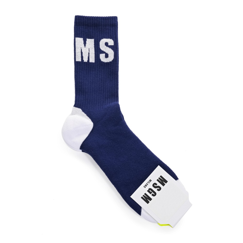 MSGMноски