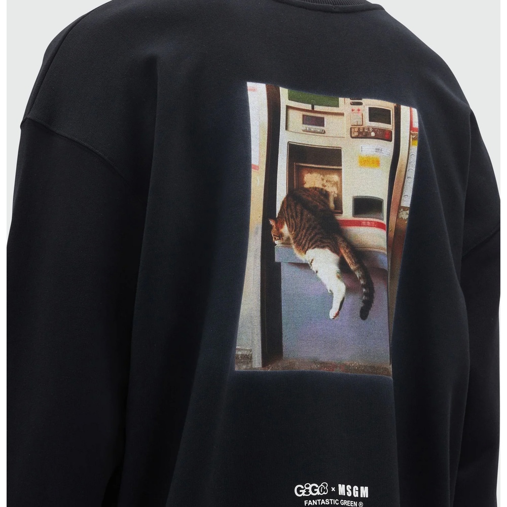 свитшот MSGM — фото и цены