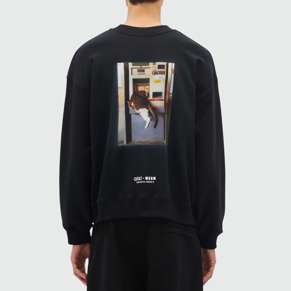 свитшот MSGM — фото и цены