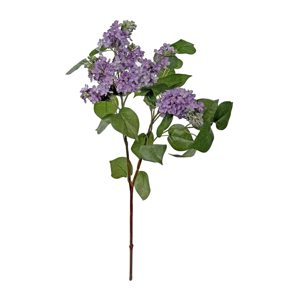 ShishiСирень, 63 см