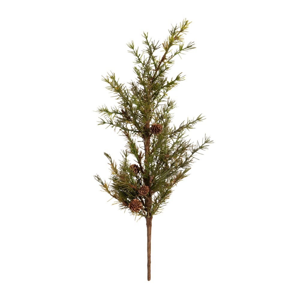 ShishiЛиственница с шишками, 60 см