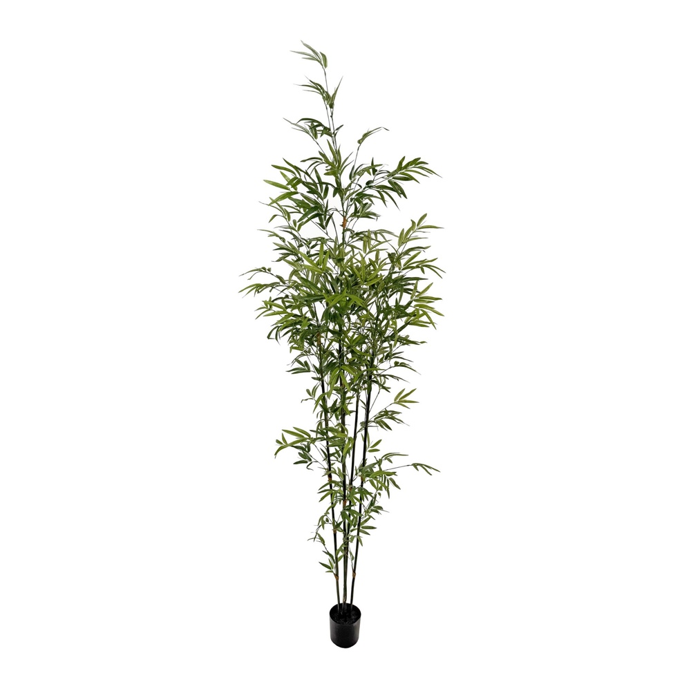 ShishiБамбук зелёный, 210 см